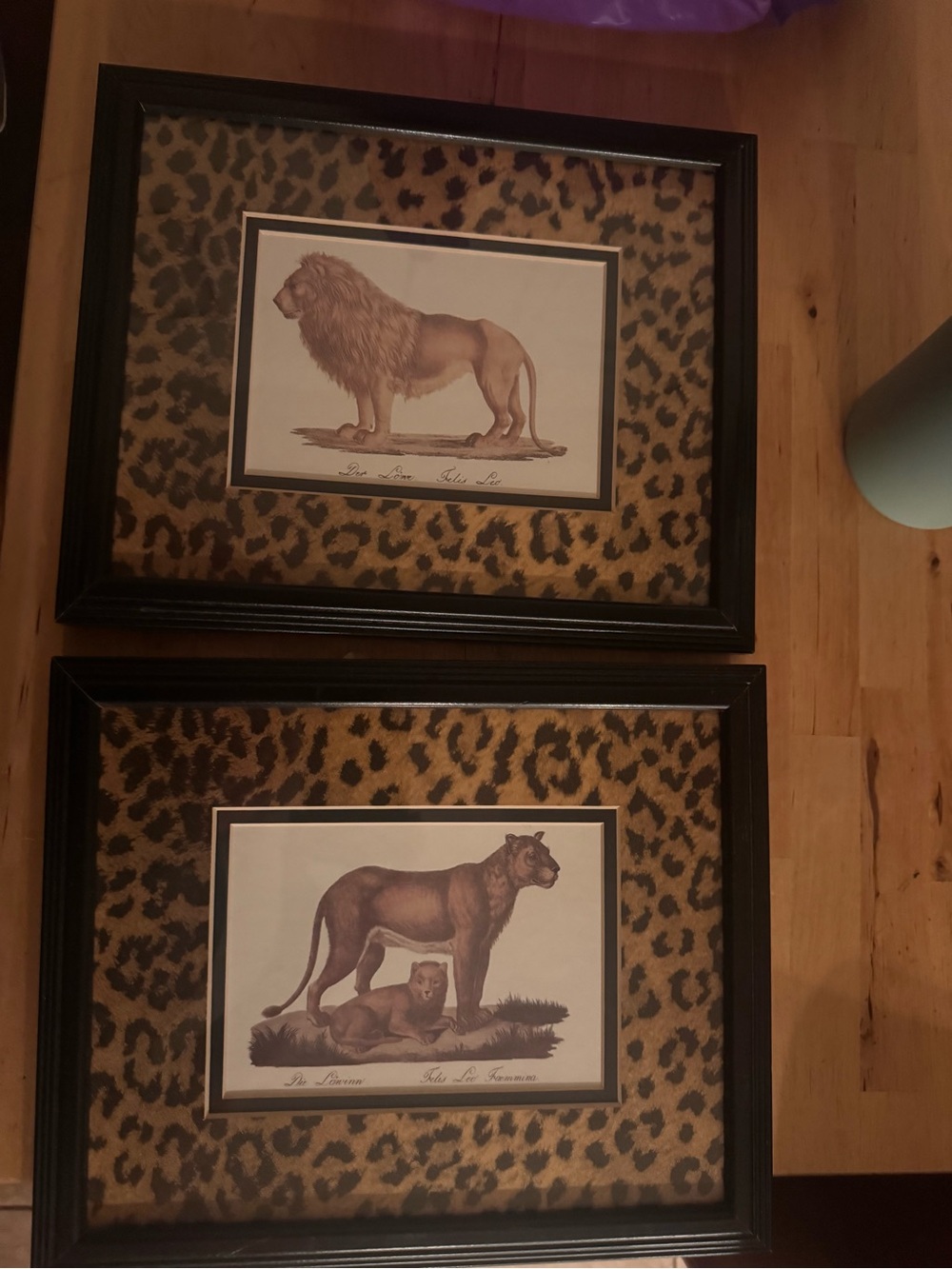 Framed Leopard Print Lion and Lioness Wall Art - Brown